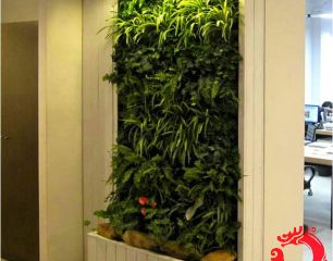 植物造景35