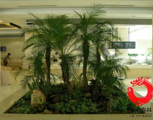 植物造景19
