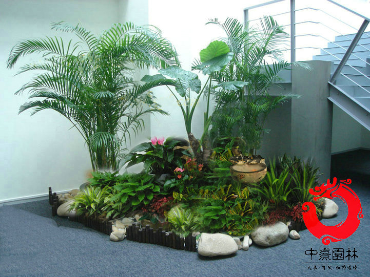 名称:植物造景48