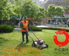 草坪修剪养护