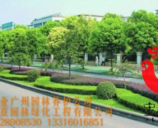 道路绿化养护