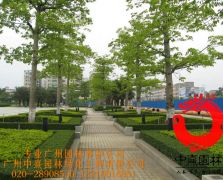市政绿化养护