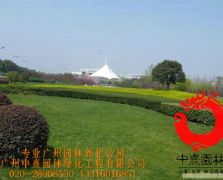 市政绿化养护2