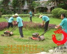小区绿化修剪养护