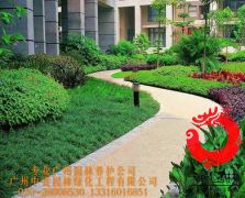 小区绿化养护2